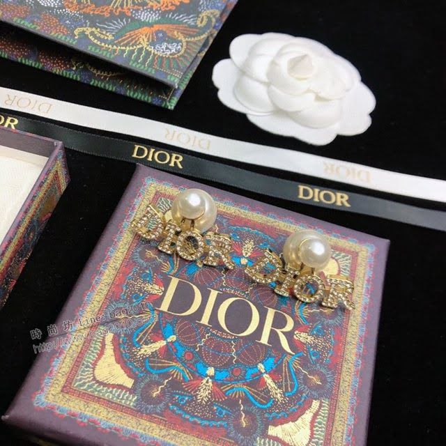 Dior飾品 2021新款DIOR迪奧字母耳釘耳環  zgd1190